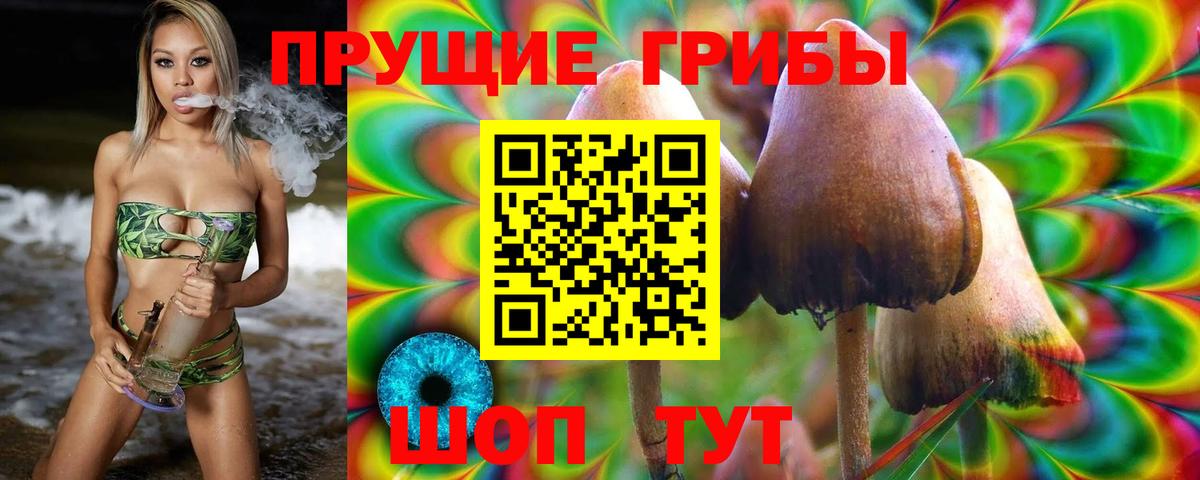 Псилоцибиновые грибы Magic Shrooms Кольчугино